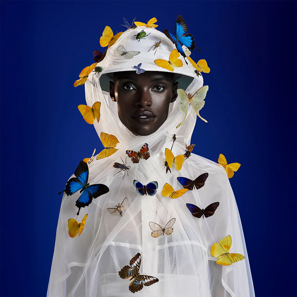 THE ENTOMOLOGIST - Image 11