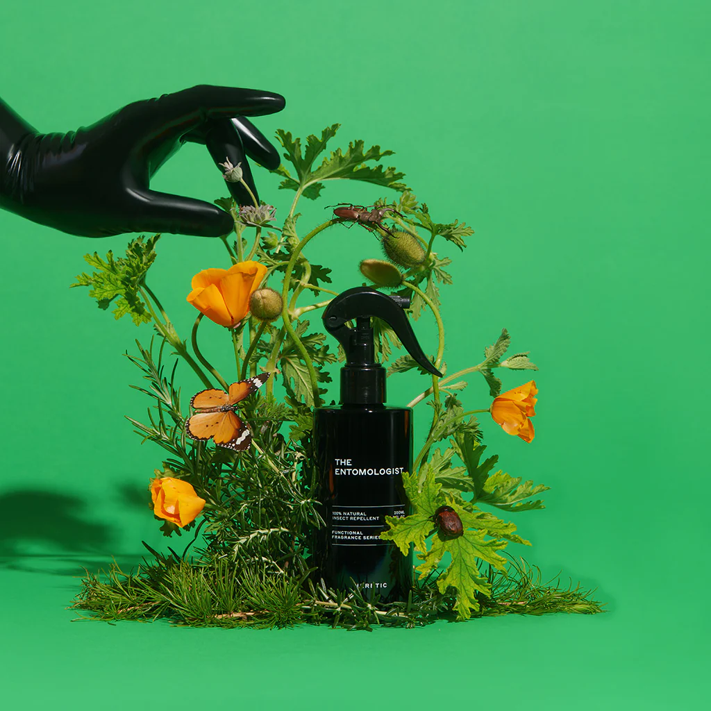 THE ENTOMOLOGIST - Image 9
